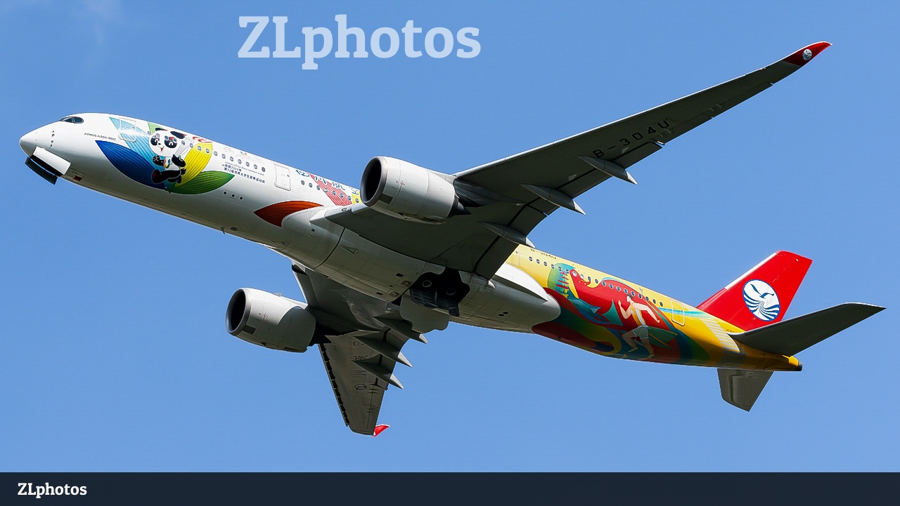 飞机让你拍它了吗[Facepalm]，飞机安全何在/::D